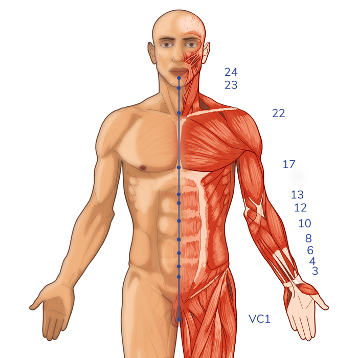 Psycho Somatic Thai Massage Live Class in Boynton Beach Fl 10 CEUs Sep[tember 27 2 pm-6 pm