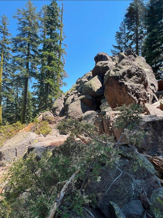 Sold Out: Mt Shasta Portal to Lemuria. Initiate Contact. May 7-11 2026