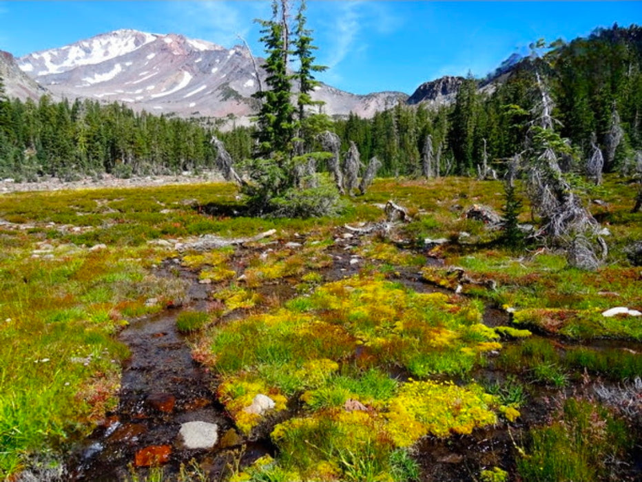 Sold Out: Mt Shasta Portal to Lemuria. Initiate Contact. May 7-11 2026